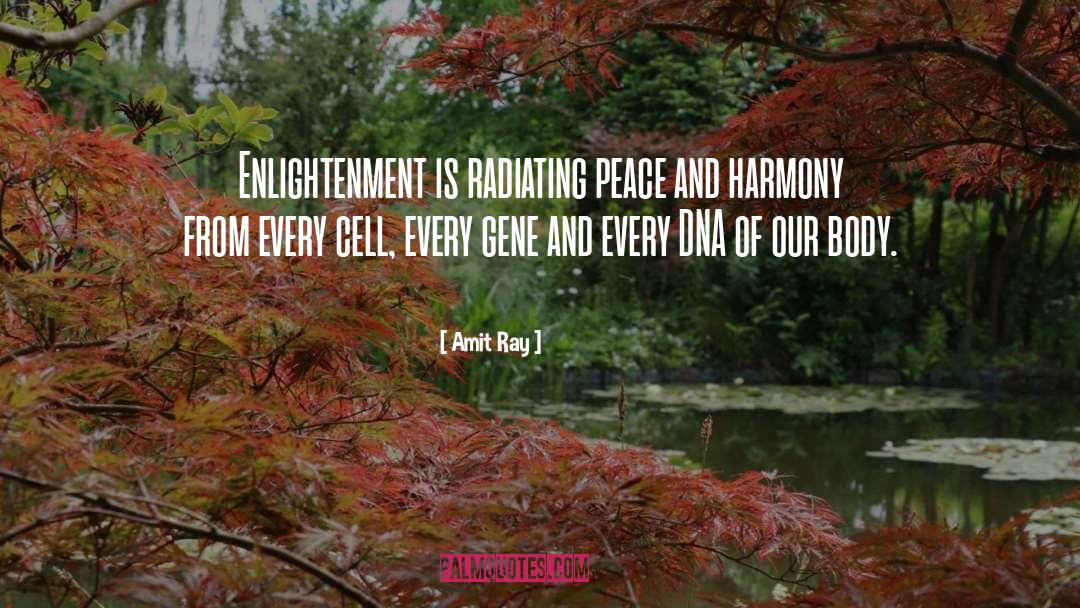 Peace And Harmony quotes by Amit Ray