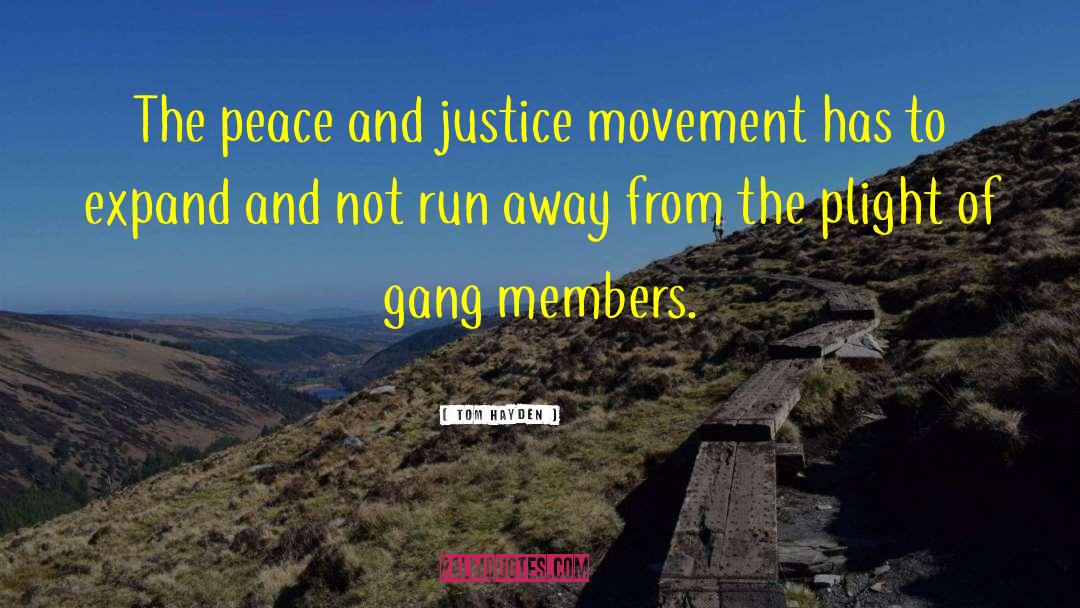 Peace And Justice quotes by Tom Hayden