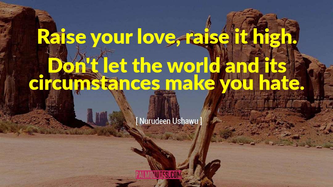 Peace And Love quotes by Nurudeen Ushawu