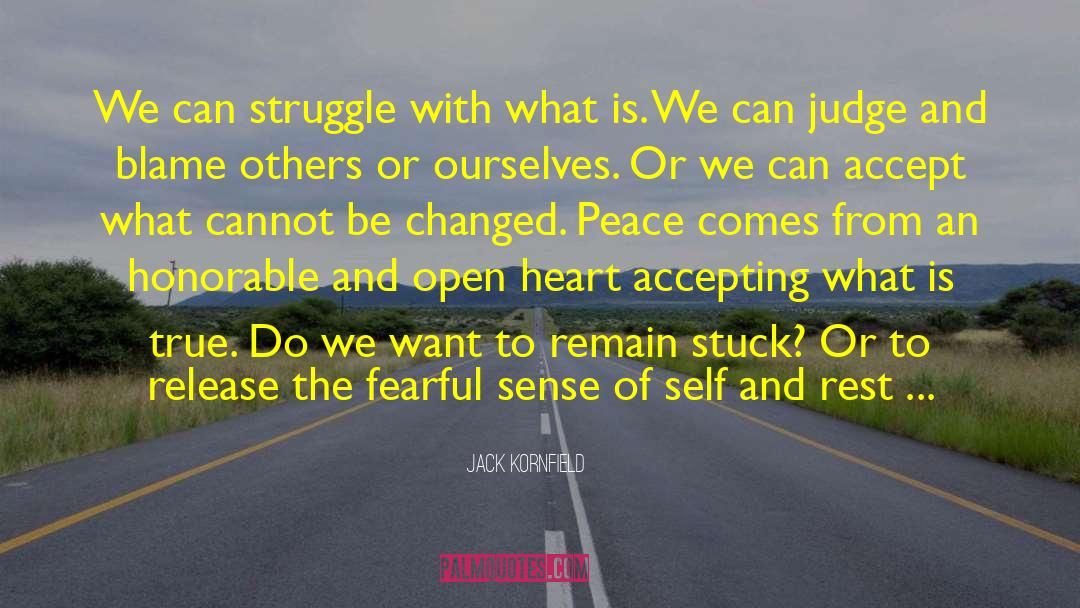 Peace And Security quotes by Jack Kornfield