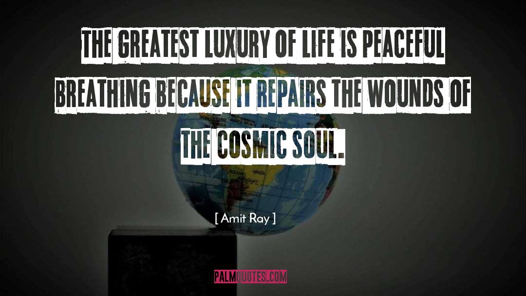 Peace Avoidance quotes by Amit Ray