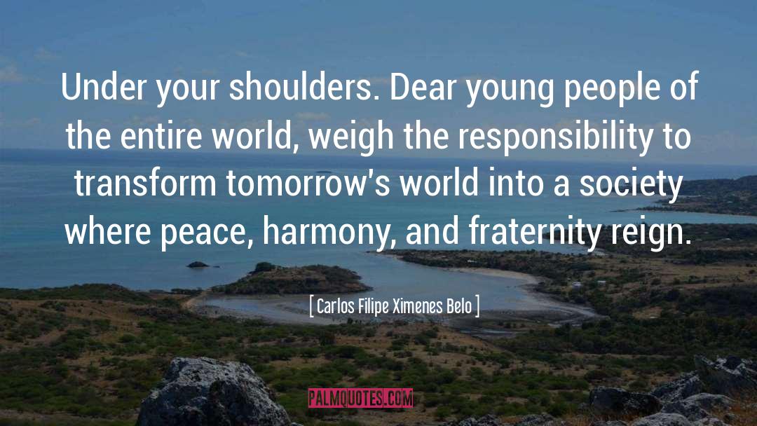 Peace Harmony quotes by Carlos Filipe Ximenes Belo