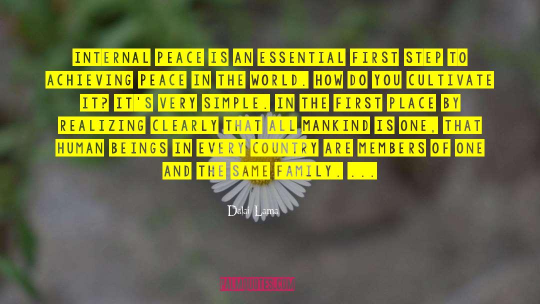 Peace In The World quotes by Dalai Lama
