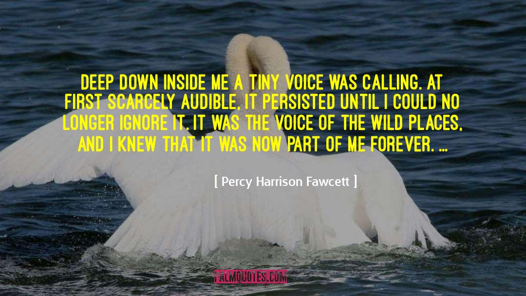 Peace Inside quotes by Percy Harrison Fawcett