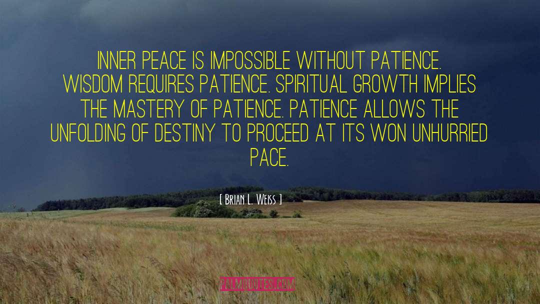 Peace Is Plentiful quotes by Brian L. Weiss