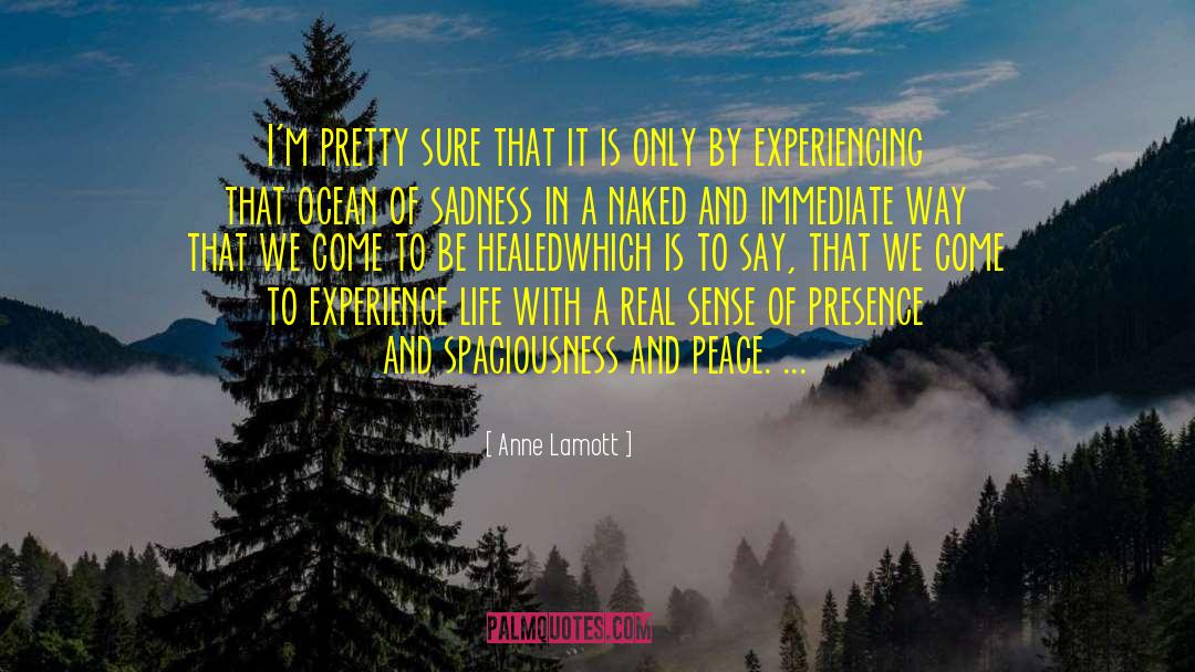 Peace Making quotes by Anne Lamott