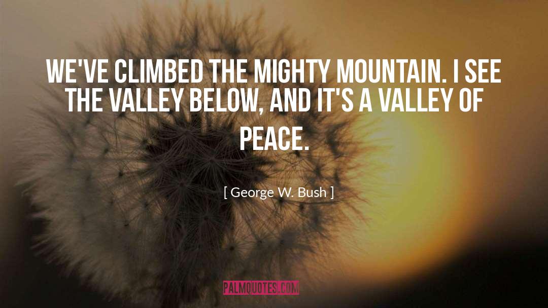 Peace Mountain quotes by George W. Bush
