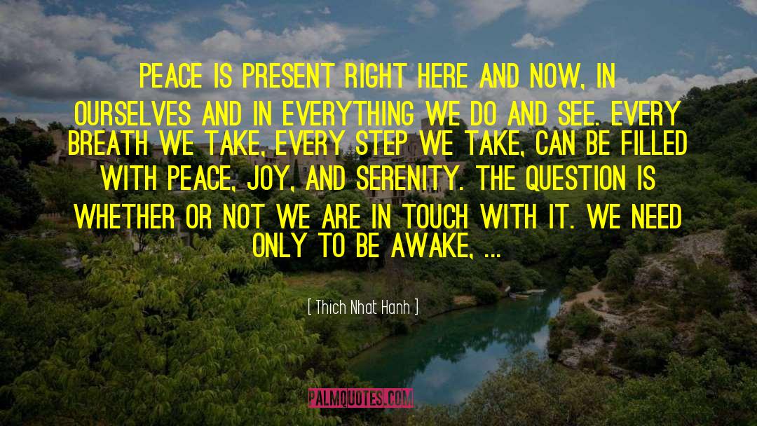 Peace Movement quotes by Thich Nhat Hanh