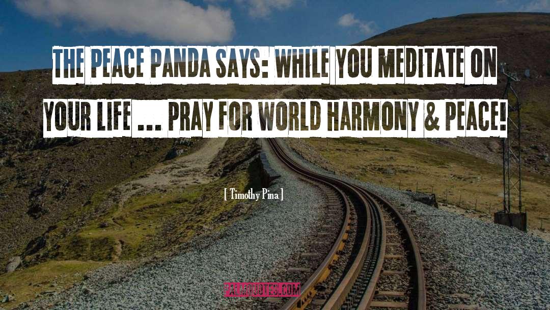 Peace Panda quotes by Timothy Pina