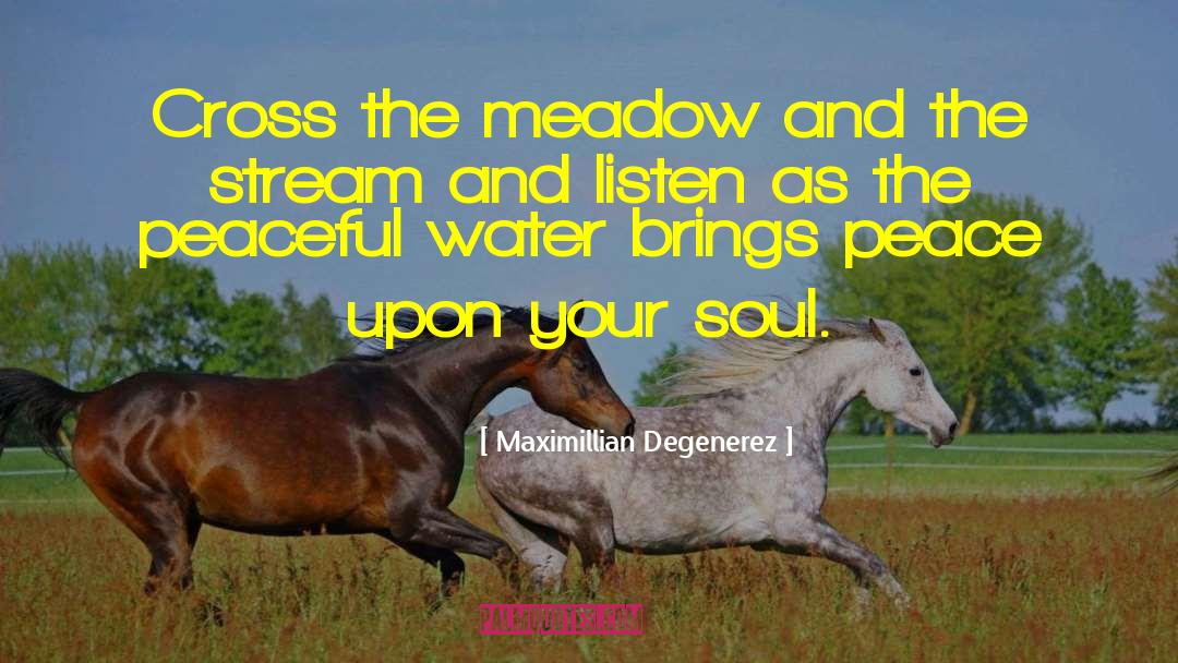 Peaceful Coexistence quotes by Maximillian Degenerez