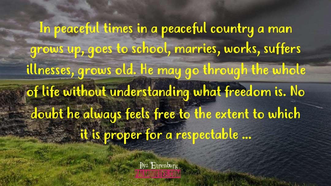 Peaceful Country quotes by Ilya Ehrenburg