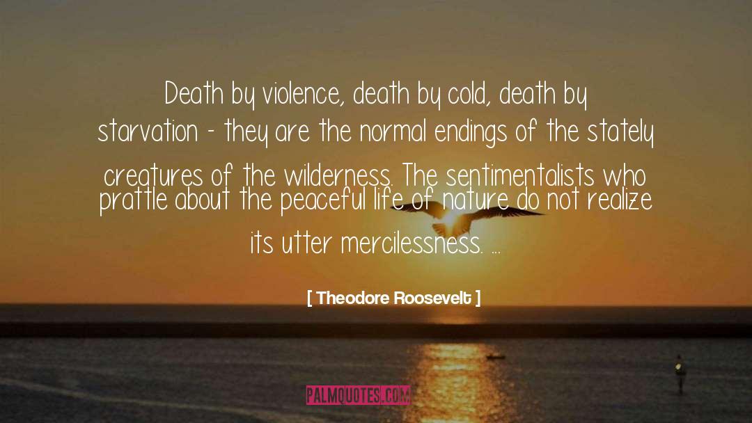 Peaceful Life quotes by Theodore Roosevelt