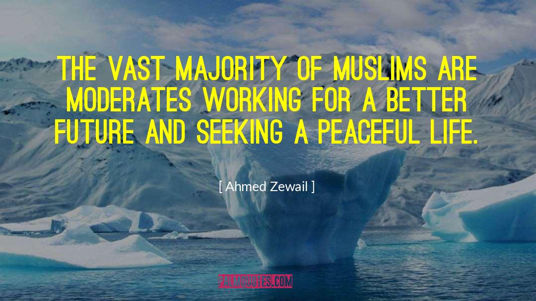 Peaceful Life quotes by Ahmed Zewail