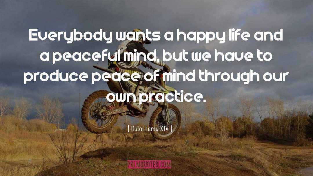 Peaceful Mind quotes by Dalai Lama XIV