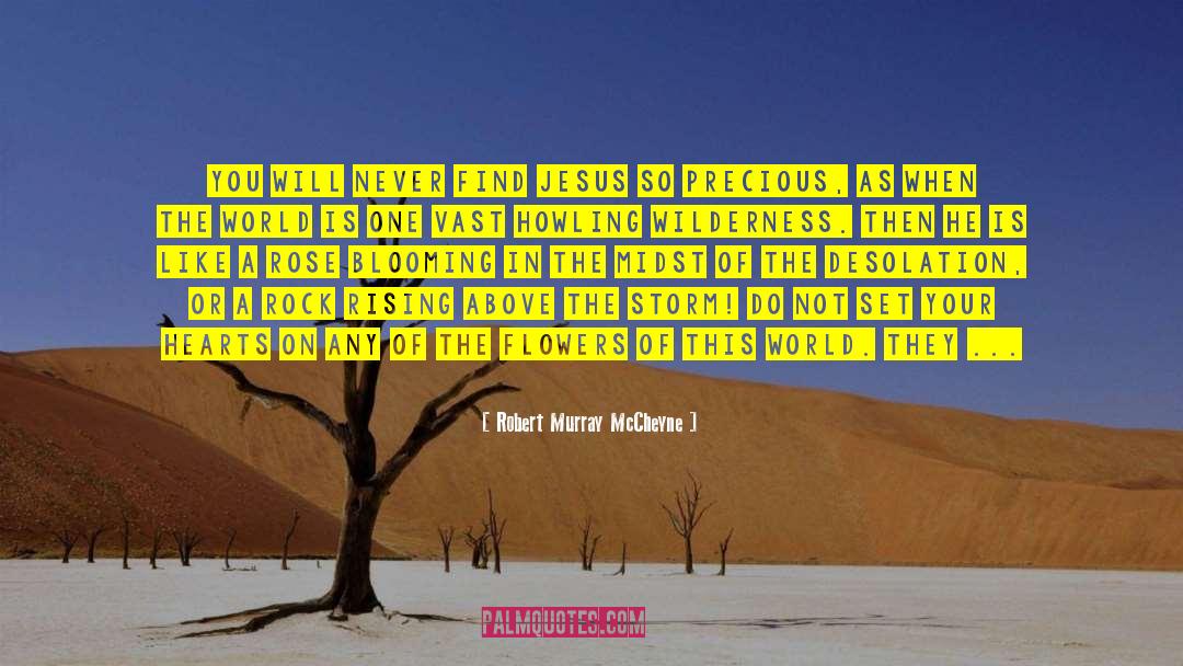 Peaceful Person quotes by Robert Murray McCheyne