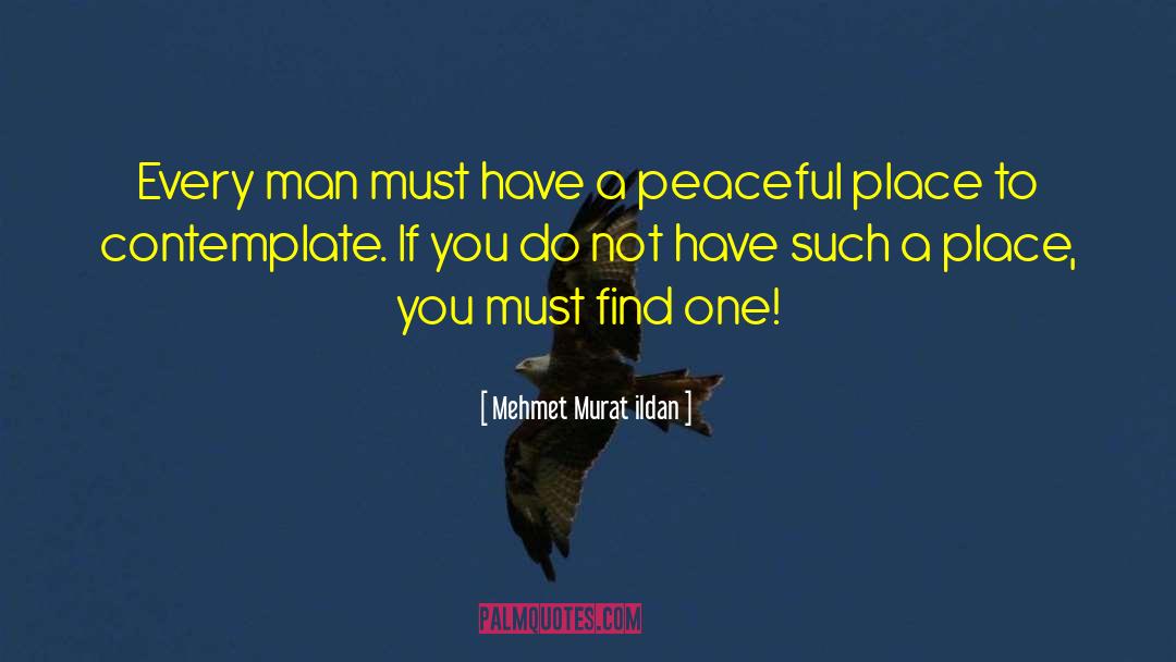 Peaceful Places quotes by Mehmet Murat Ildan