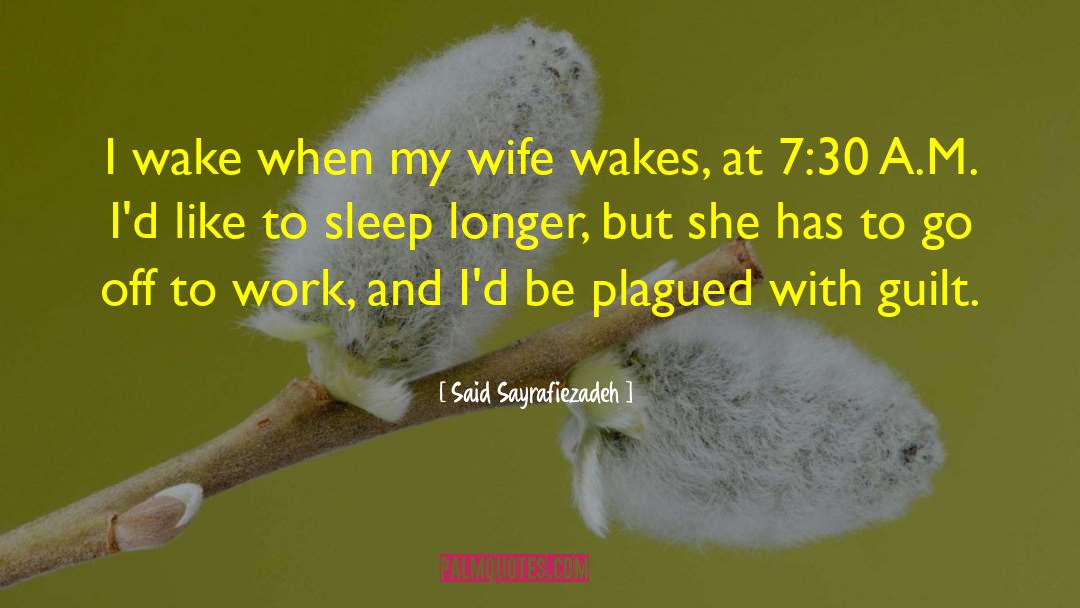 Peaceful Sleep quotes by Said Sayrafiezadeh