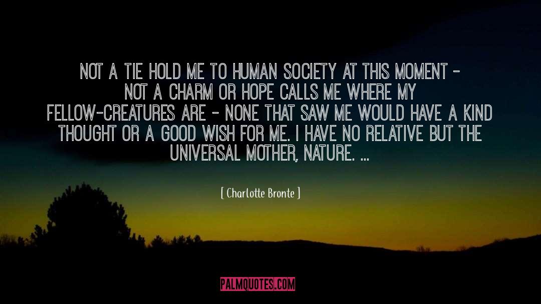 Peaceful Society quotes by Charlotte Bronte