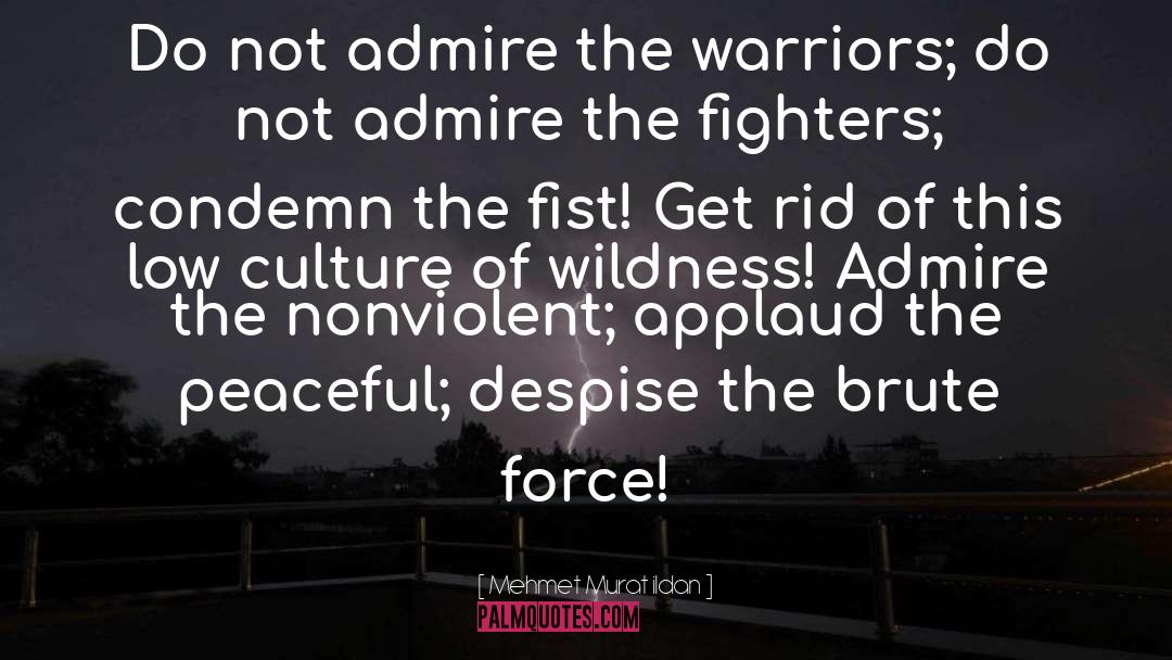 Peaceful Warrior quotes by Mehmet Murat Ildan