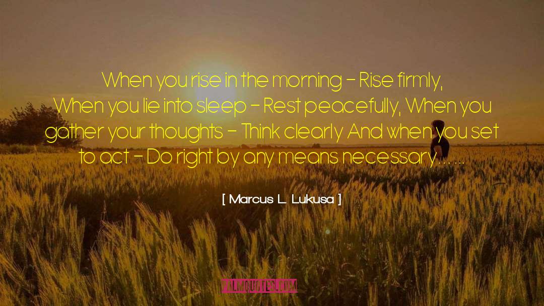 Peacefully quotes by Marcus L. Lukusa