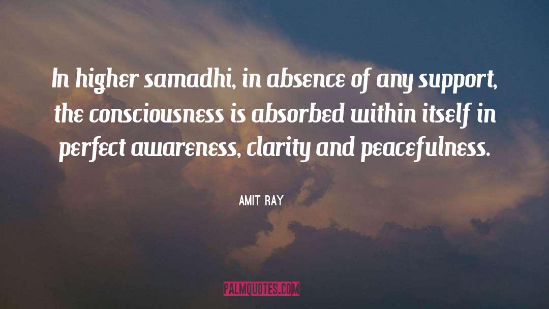 Peacefulness quotes by Amit Ray