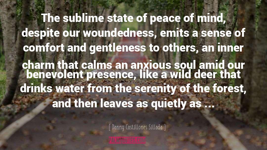 Peacefulness quotes by Danny Castillones Sillada