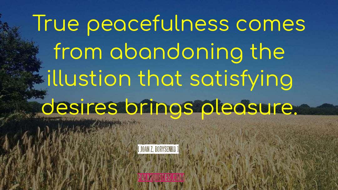 Peacefulness quotes by Joan Z. Borysenko