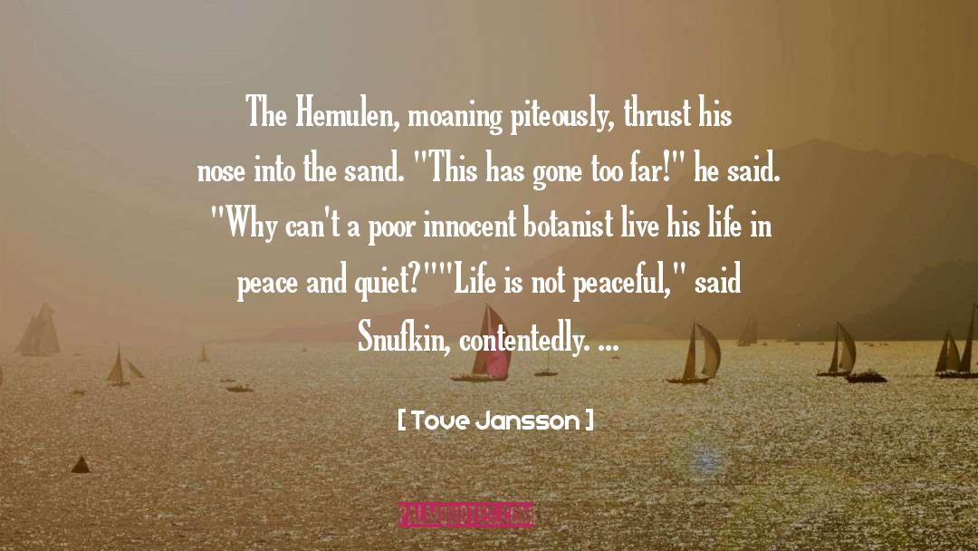 Peacefulness quotes by Tove Jansson