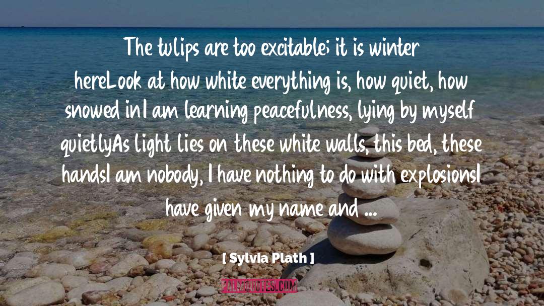 Peacefulness quotes by Sylvia Plath