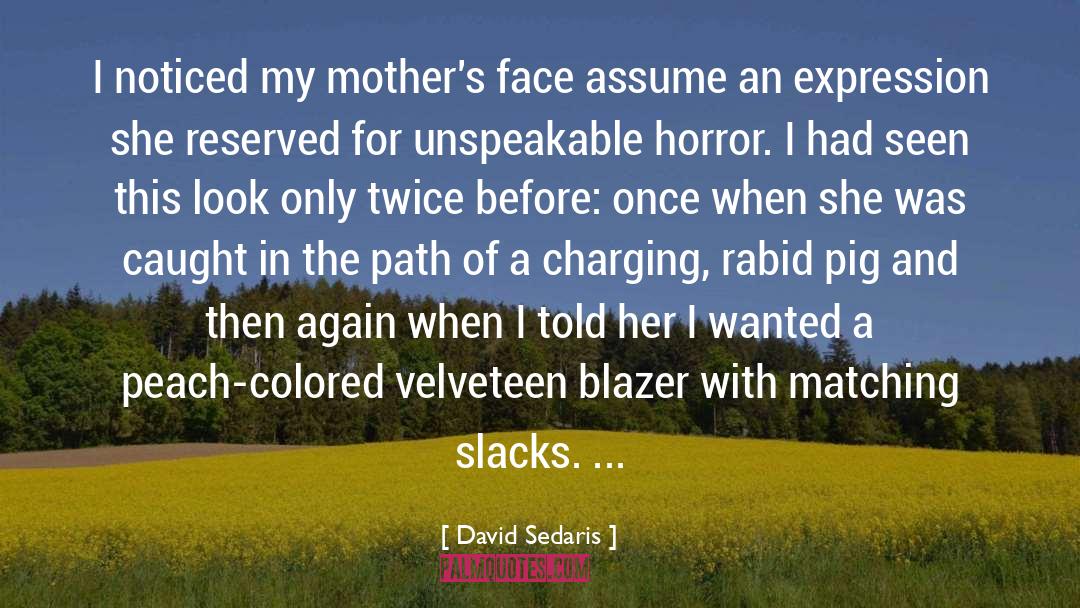 Peach Blossoms quotes by David Sedaris