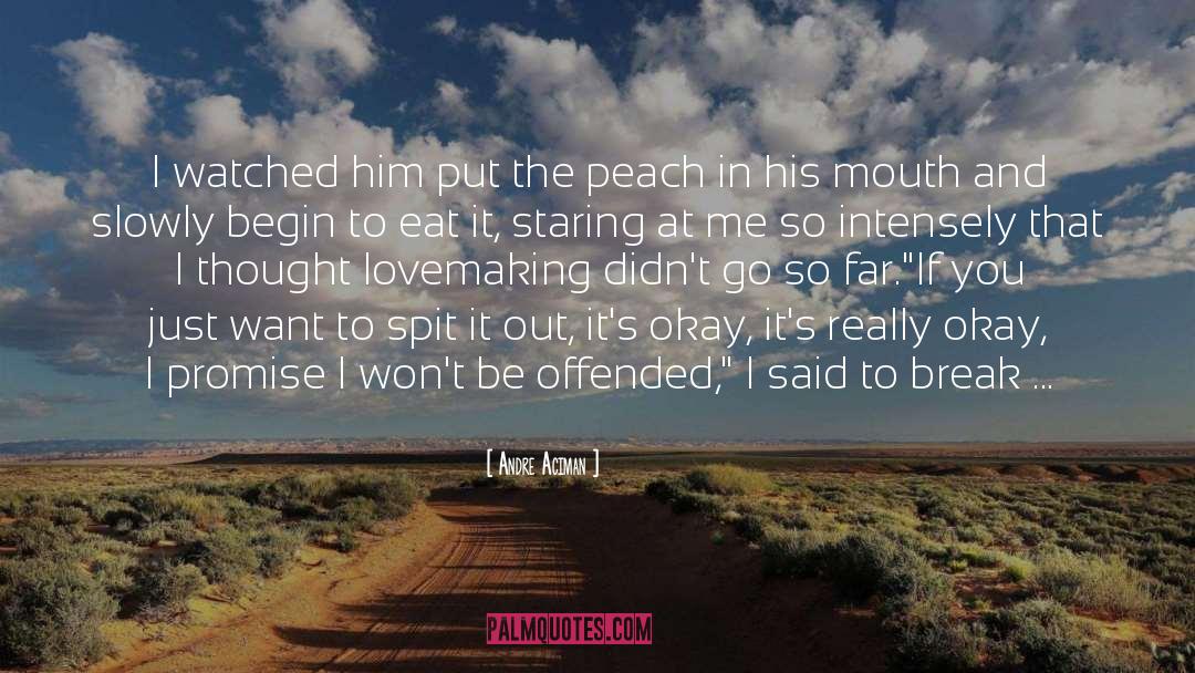 Peach quotes by Andre Aciman