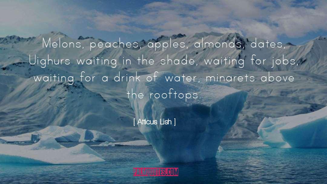 Peaches quotes by Atticus Lish