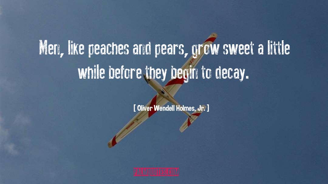 Peaches quotes by Oliver Wendell Holmes, Jr.
