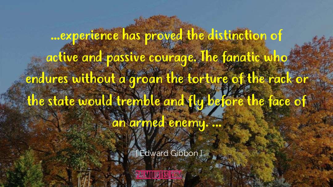 Peak Experience quotes by Edward Gibbon