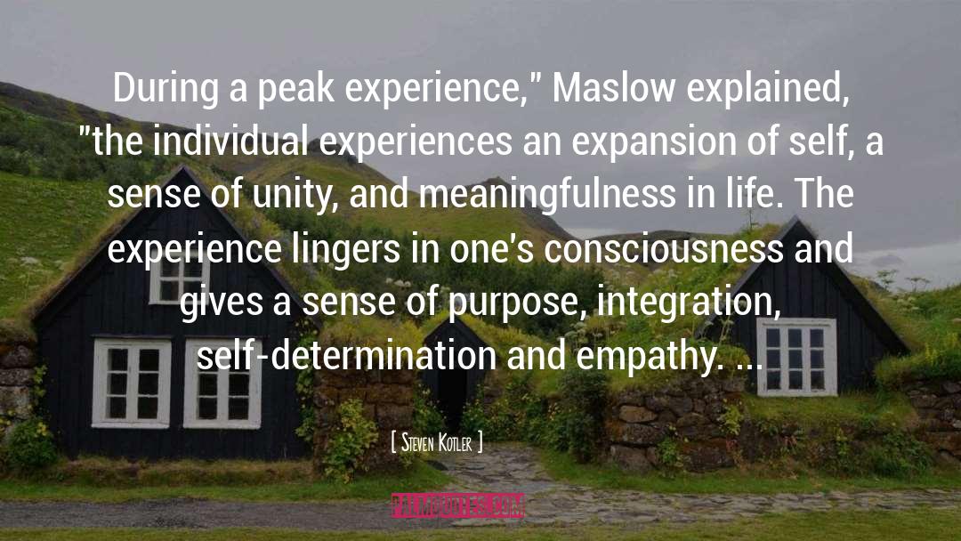 Peak Experience quotes by Steven Kotler