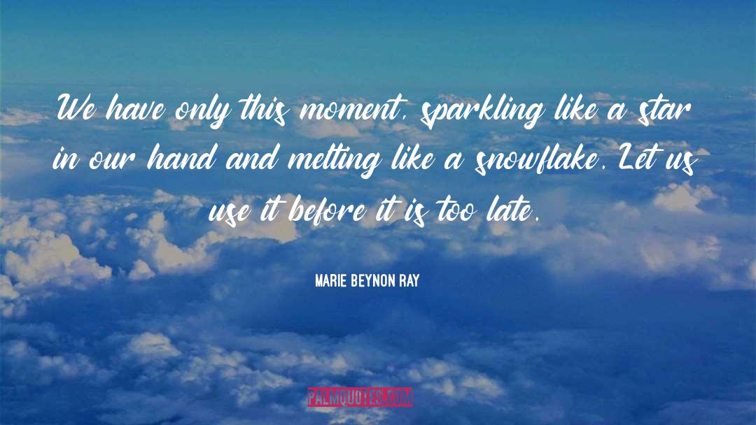 Peak Moment quotes by Marie Beynon Ray