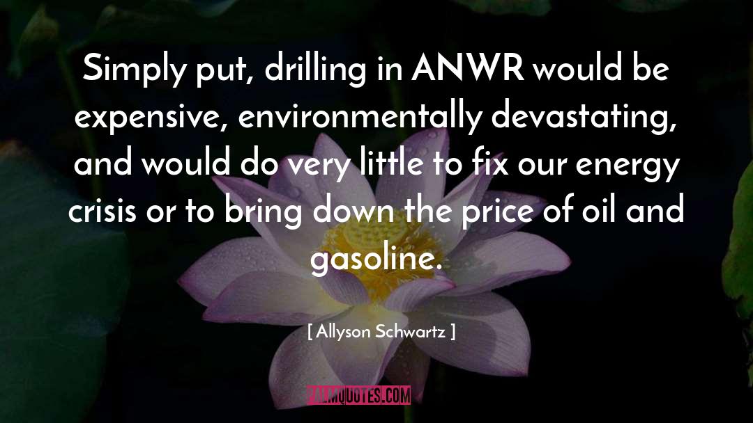 Peak Oil quotes by Allyson Schwartz