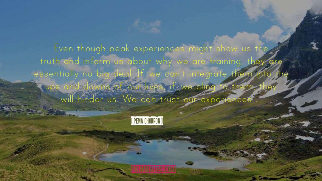 Peak Zenith quotes by Pema Chodron