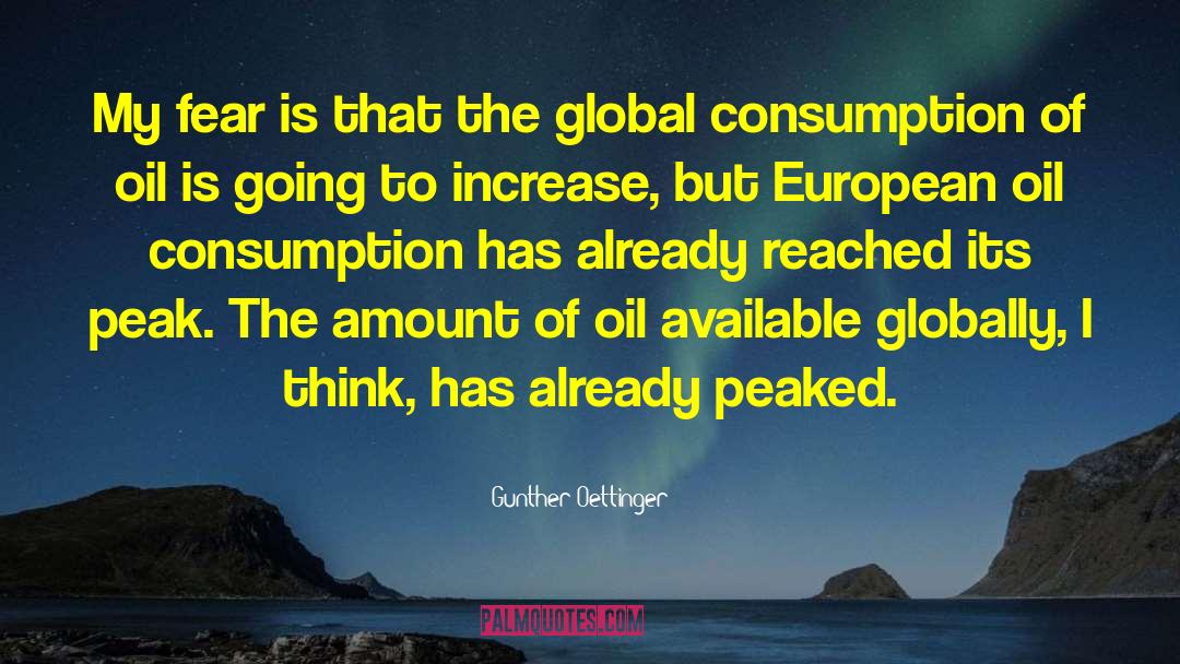 Peak Zenith quotes by Gunther Oettinger