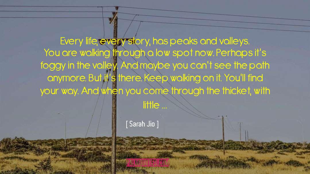Peaks And Valleys quotes by Sarah Jio