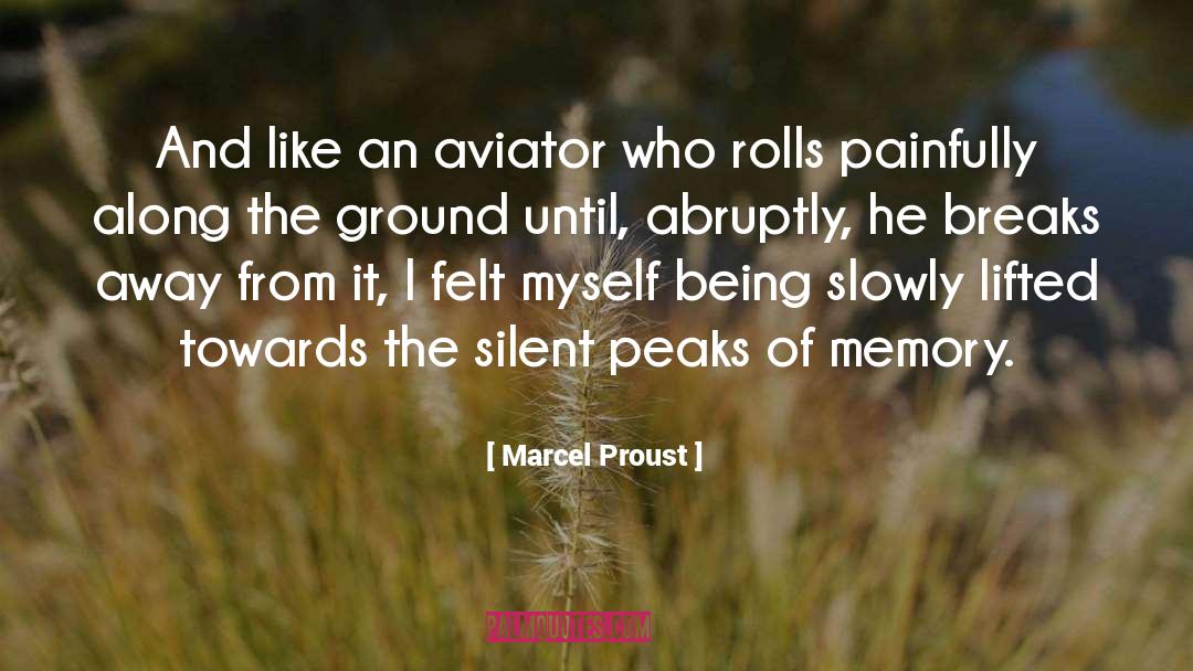 Peaks quotes by Marcel Proust