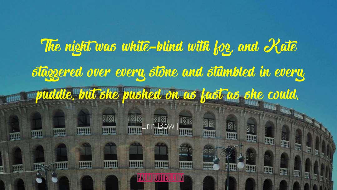 Pearl In The Mist quotes by Erin Bow