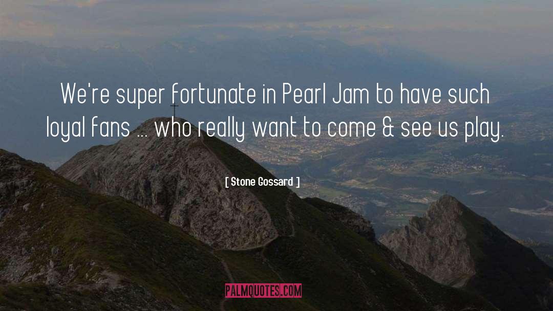 Pearl Jam quotes by Stone Gossard