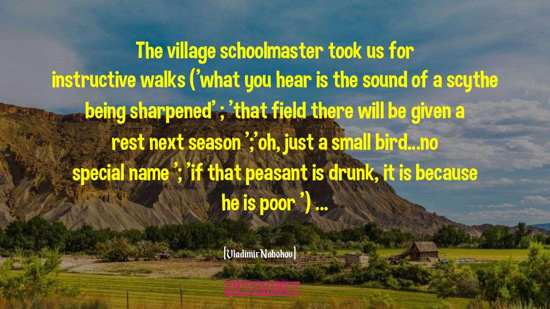 Peasant quotes by Vladimir Nabokov