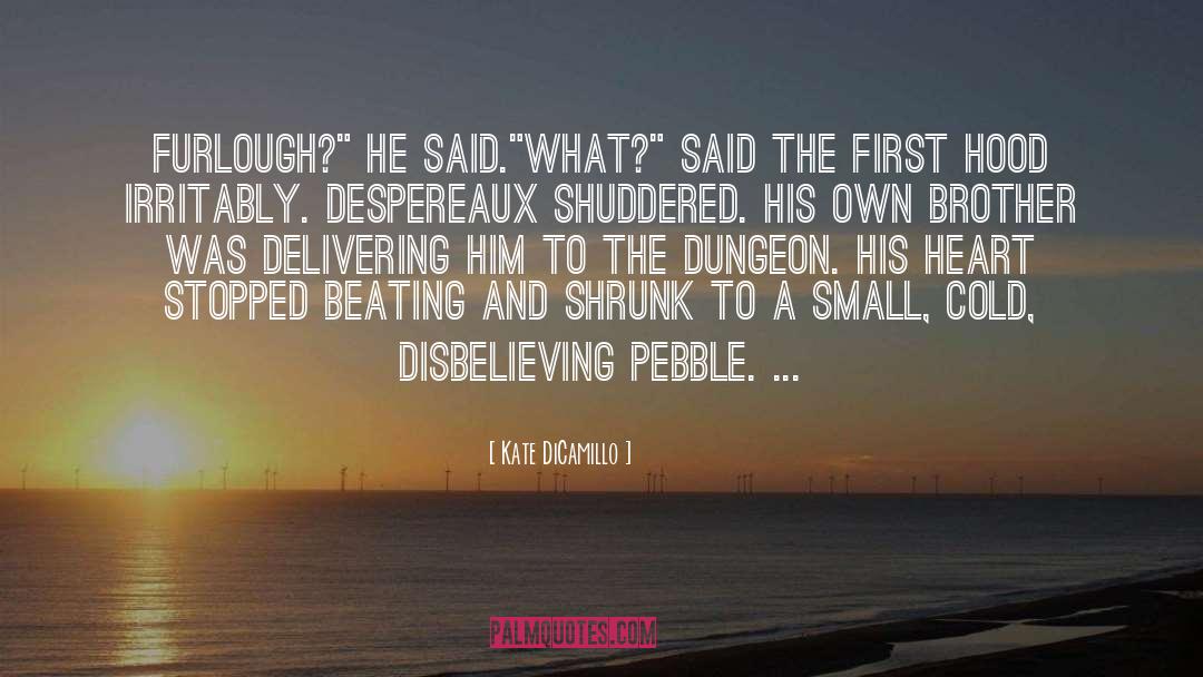 Pebble quotes by Kate DiCamillo