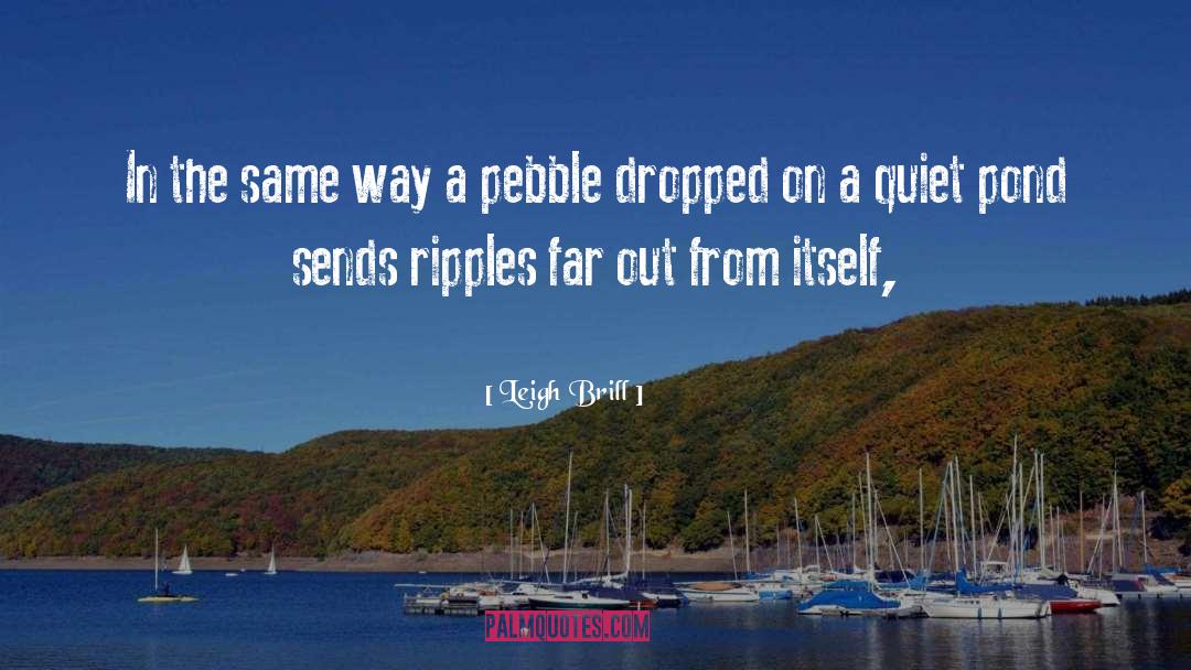 Pebble quotes by Leigh Brill