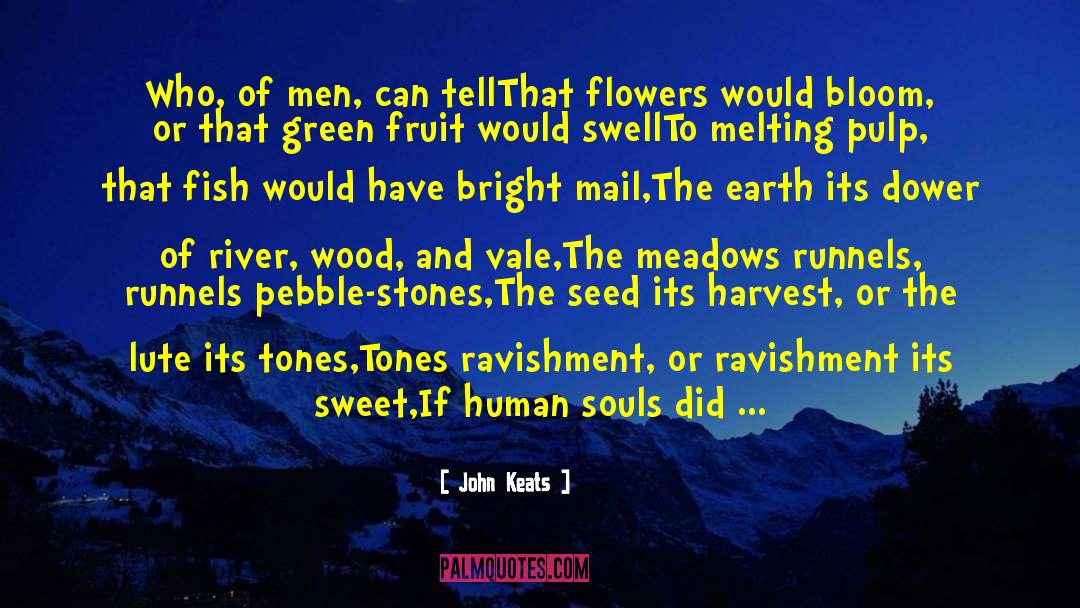 Pebble quotes by John Keats