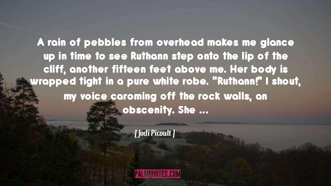 Pebbles quotes by Jodi Picoult