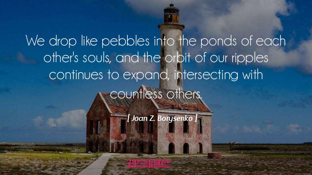 Pebbles quotes by Joan Z. Borysenko