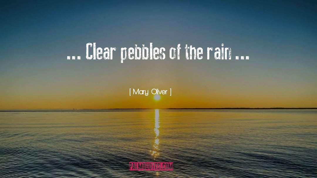 Pebbles quotes by Mary Oliver
